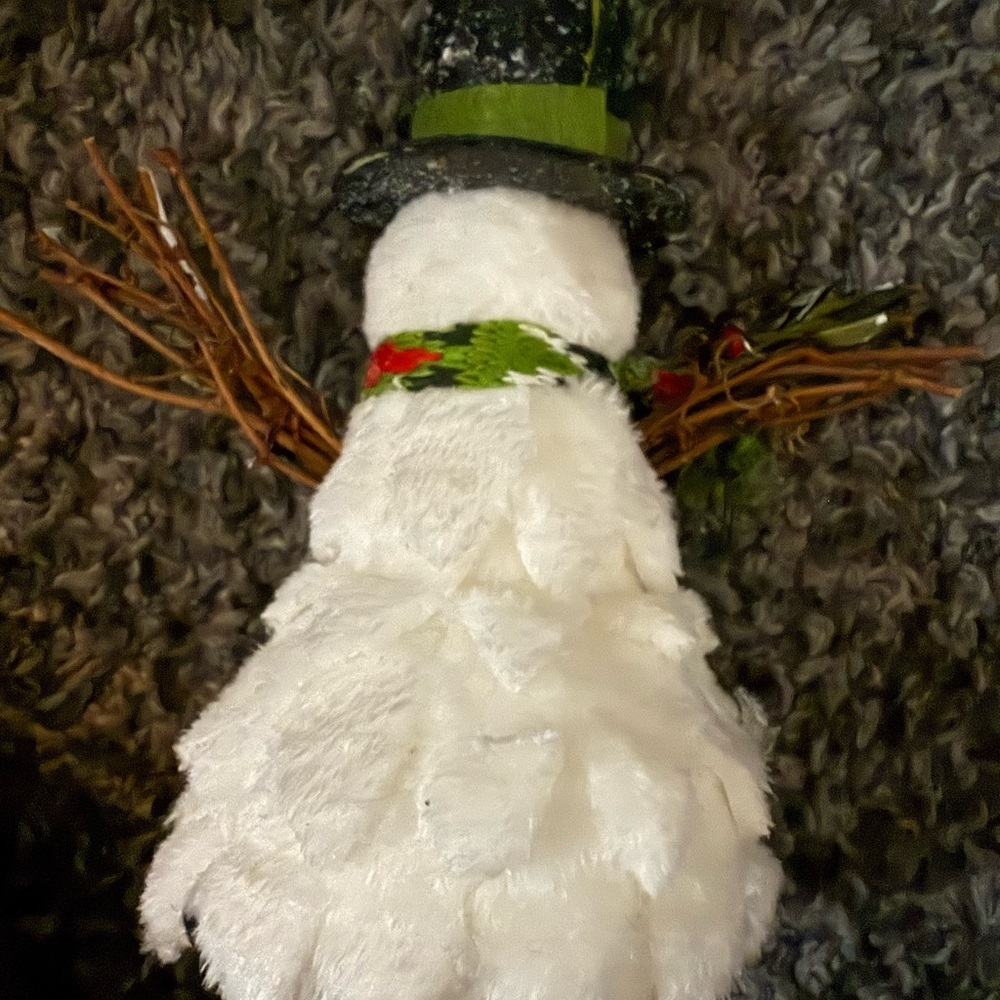 Charming Snowman with Festive Scarf - Picture 3 of 4